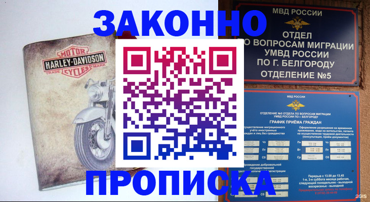 прописка для школы в Жердевке